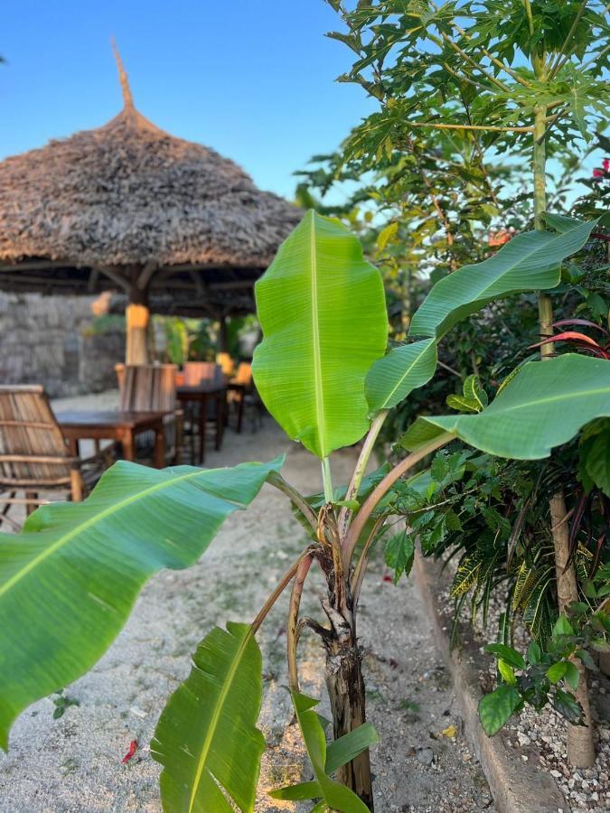 Mbuyuni Lodge Нунгви Экстерьер фото